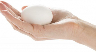 Spiknutí pro kuřata k nošení každý den